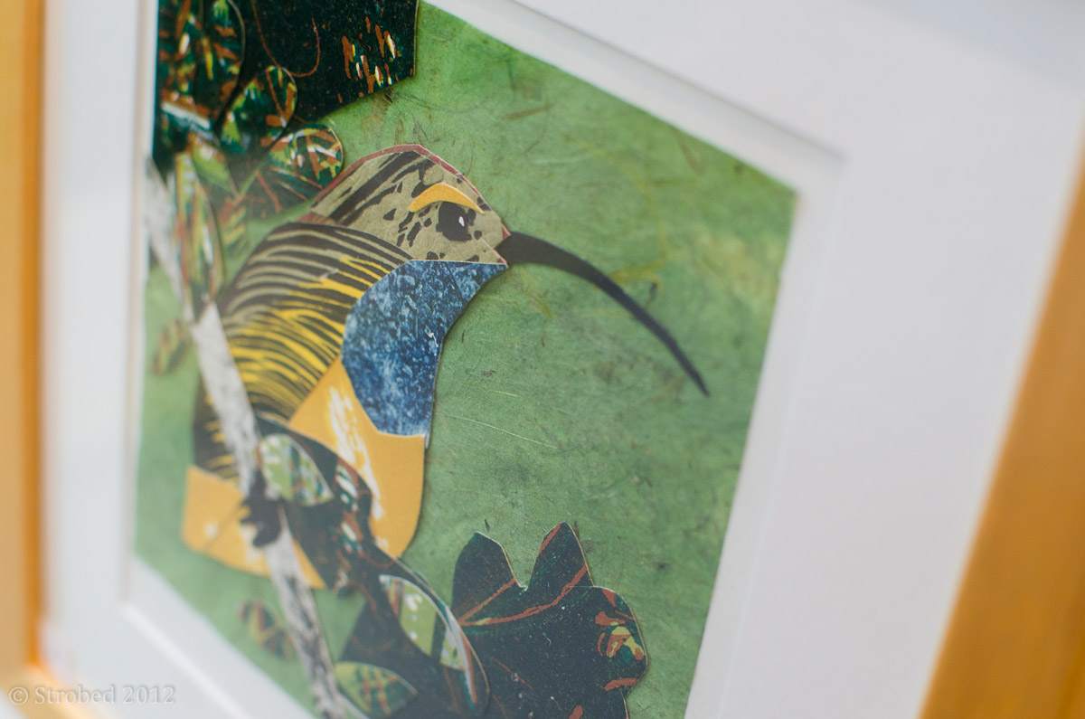 Fiona Roderick's incredible collage kiwi